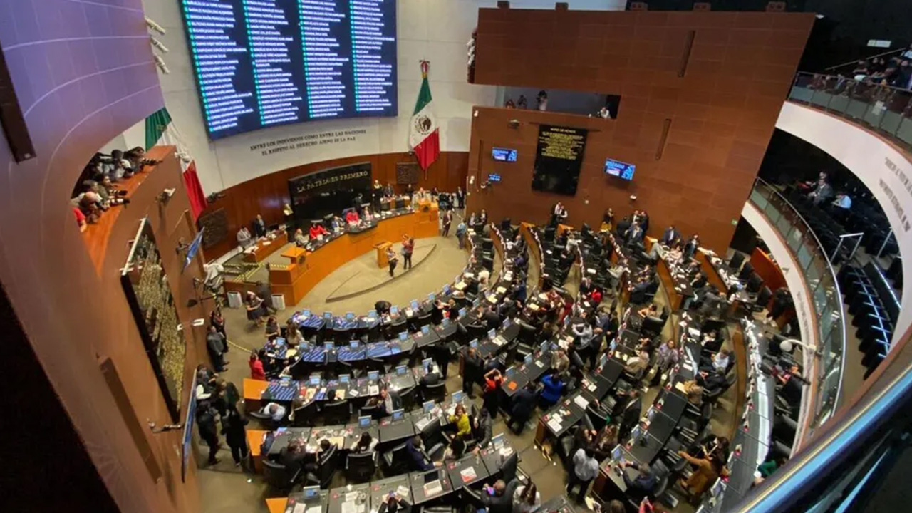 ¿Morena está obligando a votar por Rosario Piedra para presidir la CNDH?
