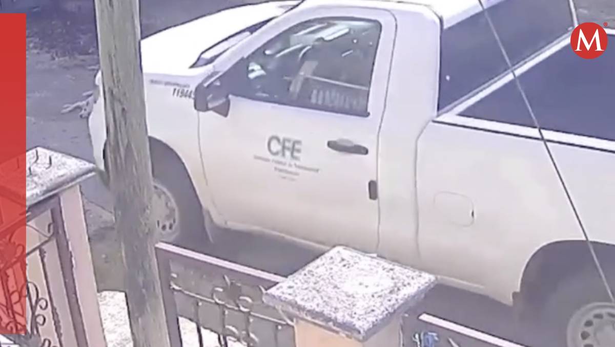 El perrito descansaba bajo la sombra de un árbol cuando fue atropellado (Captura de pantalla)