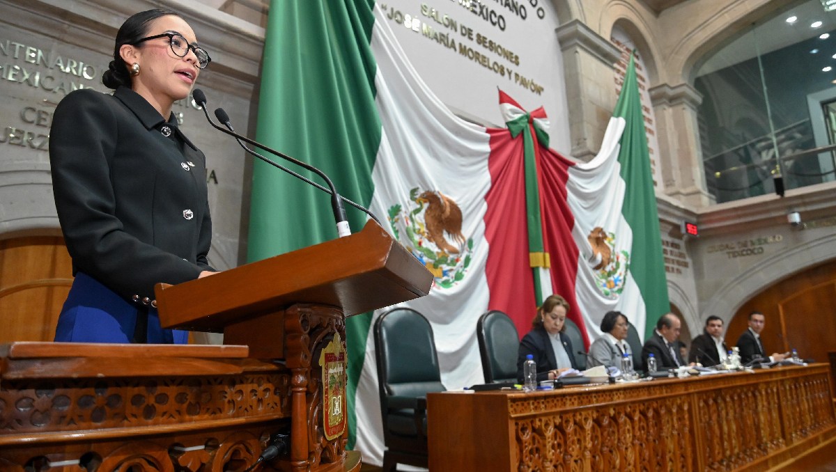 Rocío Alexia Dávila Sánchez, diputada del PAN en el Congreso de Edomex. Foto: (Especial)