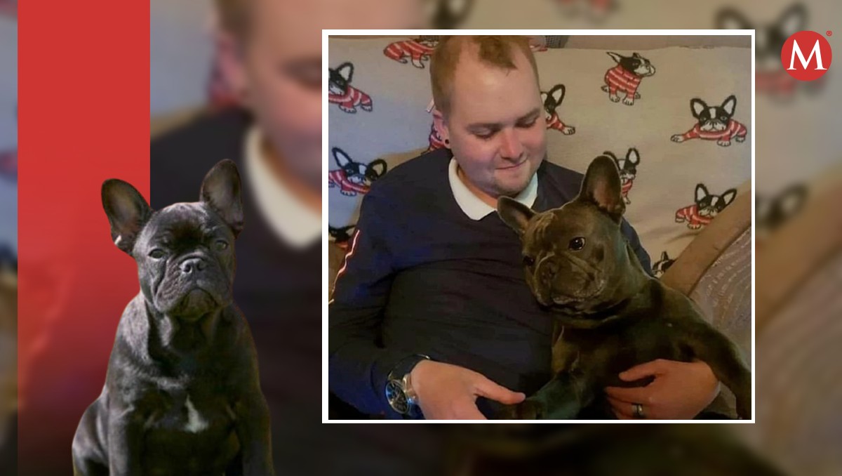 Nero era un perrito bulldog francés negro.