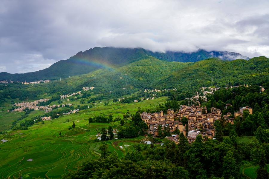 Vista de los campos en terrazas de Hani en el condado de Yuanyang de la prefectura autónoma de Honghe Hani y Yi. (Xinhua/Wang Jingyi)