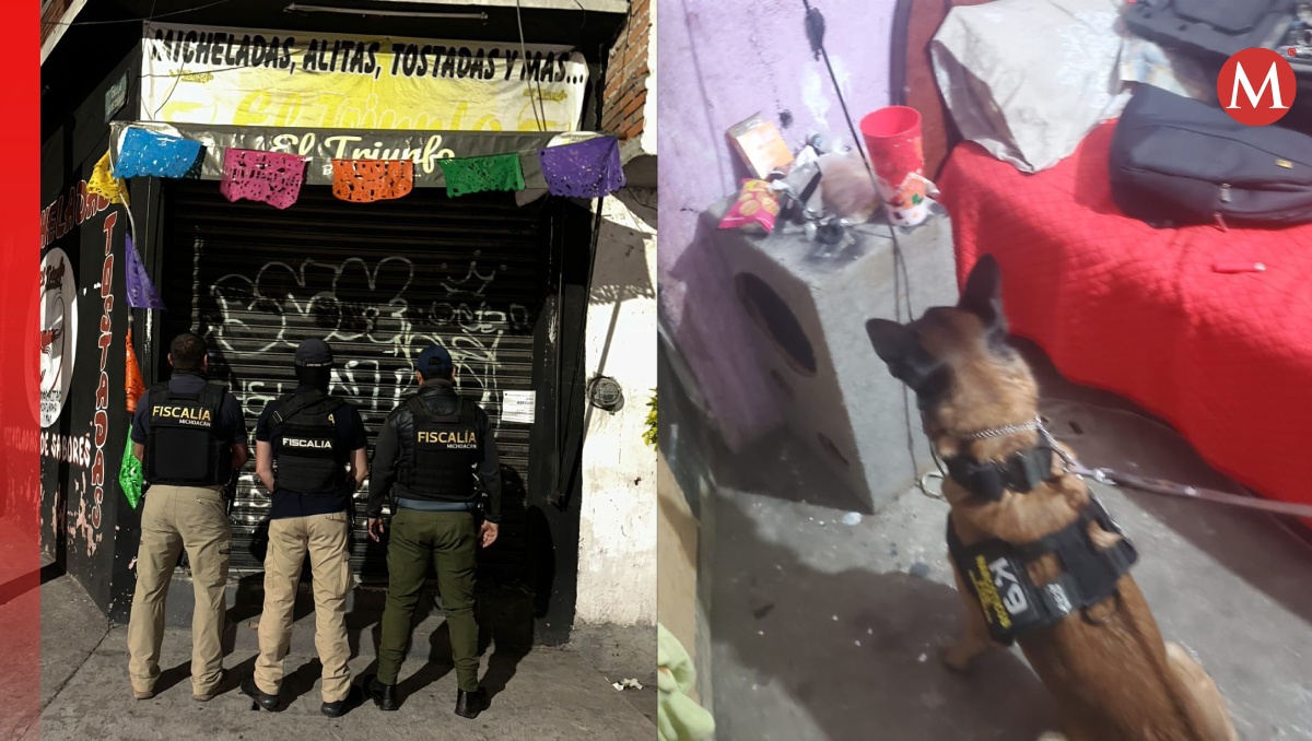 Elementos de la Policía de Investigación, en coordinación con la Unidad Canina (K9), revisaron el lugar (Especial)