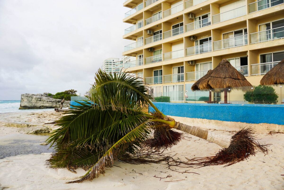 La zona de prevención va desde Puerto Costa Maya hasta Chetumal, Quintana Roo. | Cuartoscuro