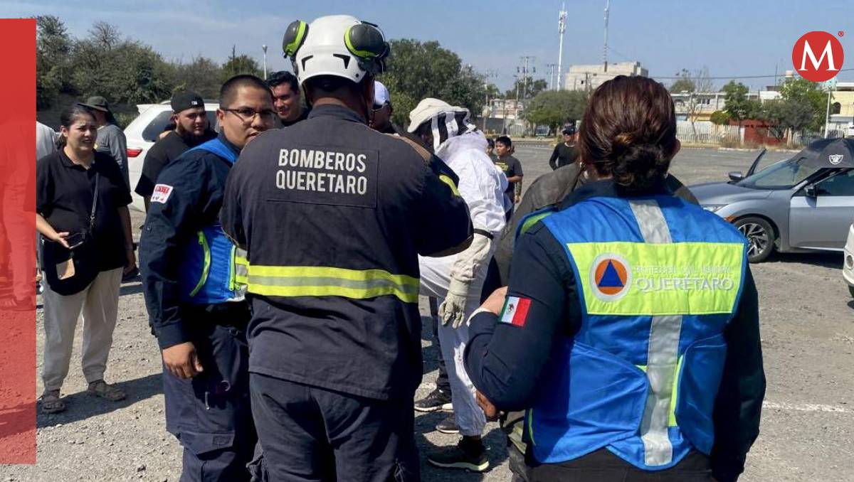 Cincuenta personas sufrieron picaduras durante un partido de fútbol en Querétaro (Bomberos de Querétaro)
