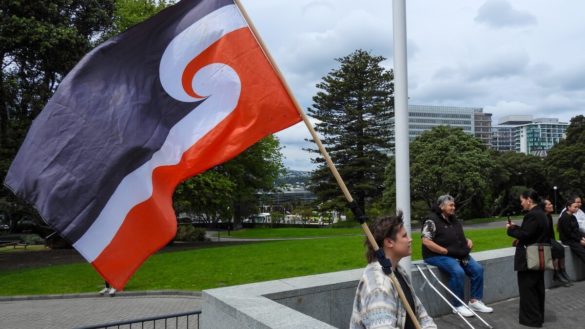 Manifestante contra la Ley de Principios del Tratado en el parlamento en Wellington, Nueva Zelanda | AP