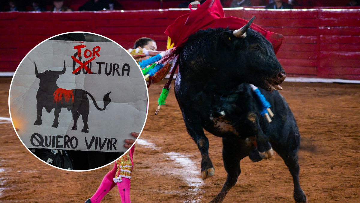 Proponen prohibir definitivamente las corridas de toros en Puebla |  Agencia Es Imagen