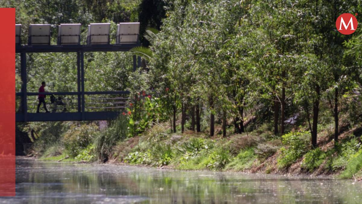 Un joven de 16 años cayó de una lancha en el Canal Nacional y murió ahogado (Sedema)