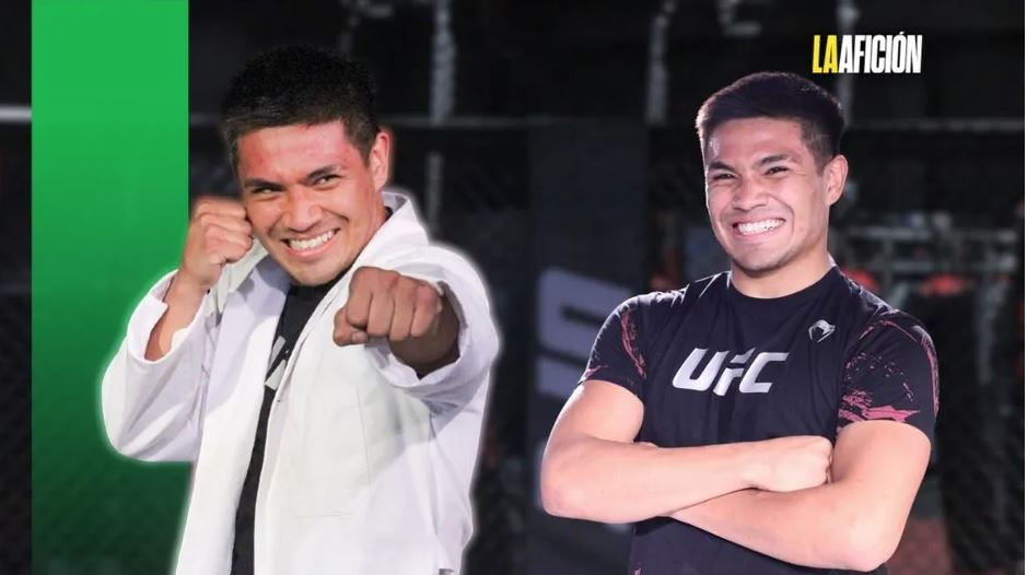 Ufc Doctor ¿Cuál es el costo actual de la canasta básica en México?- Grupo Milenio