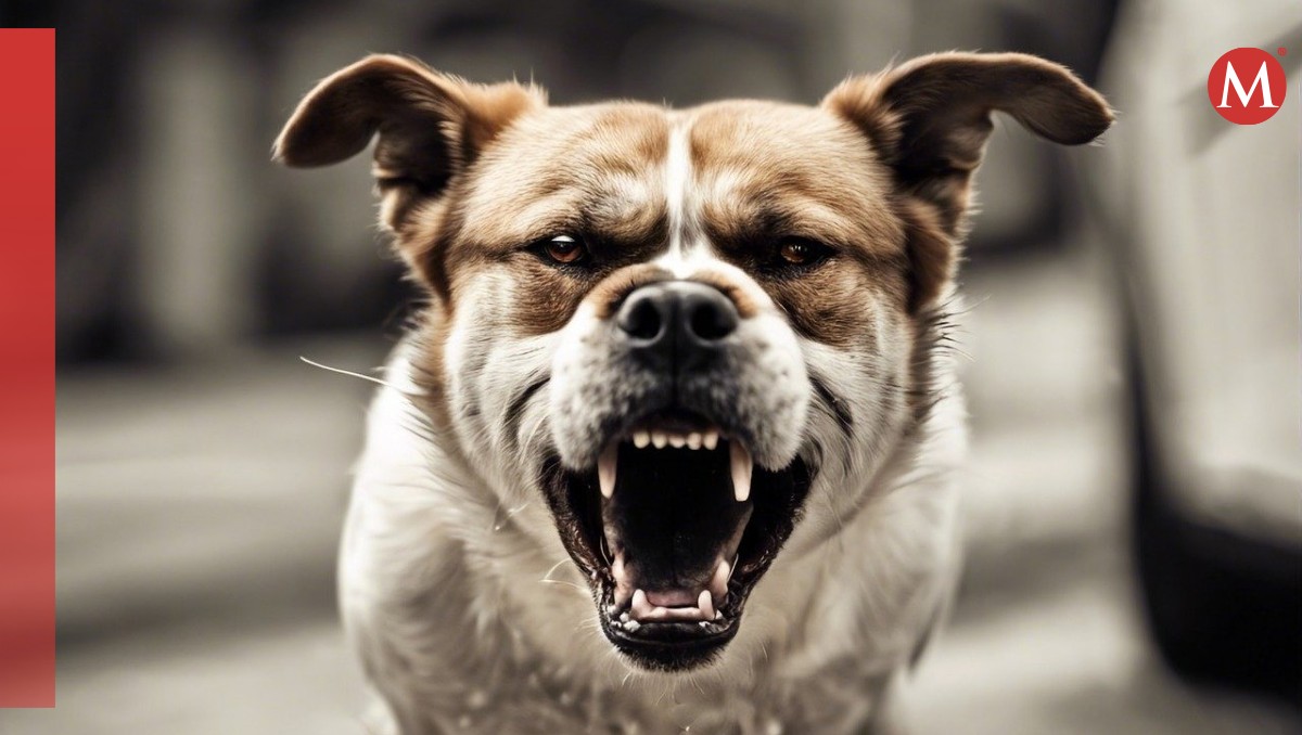 Perro ataca a una mujer y la mata en EU | Foto: Pixabay