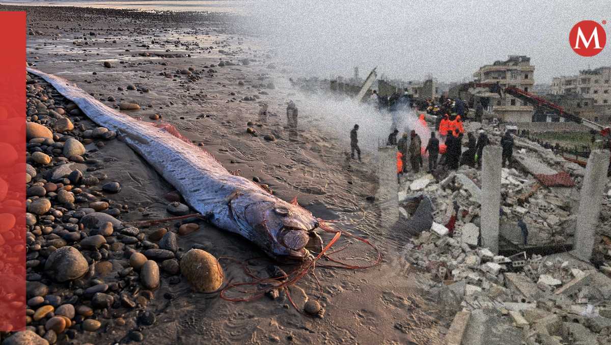 Aparece 'pez del fin del mundo' en California | Especial