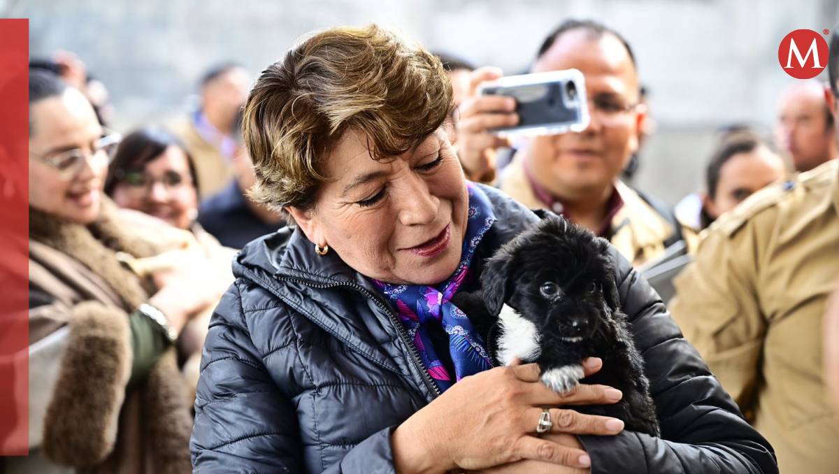 Este foro permitirá fortalecer y aumentar la conciencia en la erradicación del maltrato animal en Edomex. | Especial