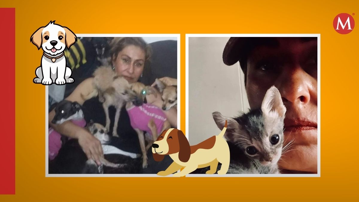 Anairam Sostre, animalista. | Especial
