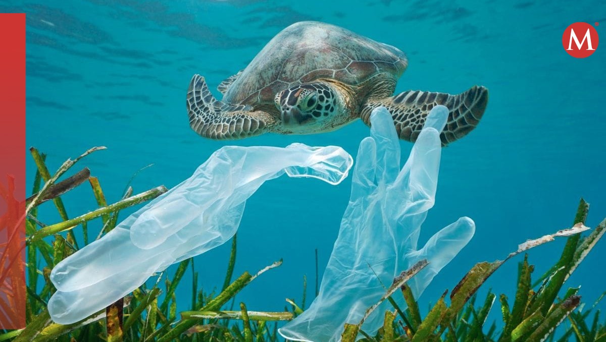 Crean plástico que se descompone en el agua