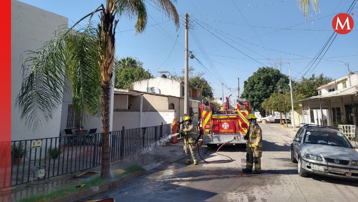 Los  Bomberos controlaron el fuego (Especial)