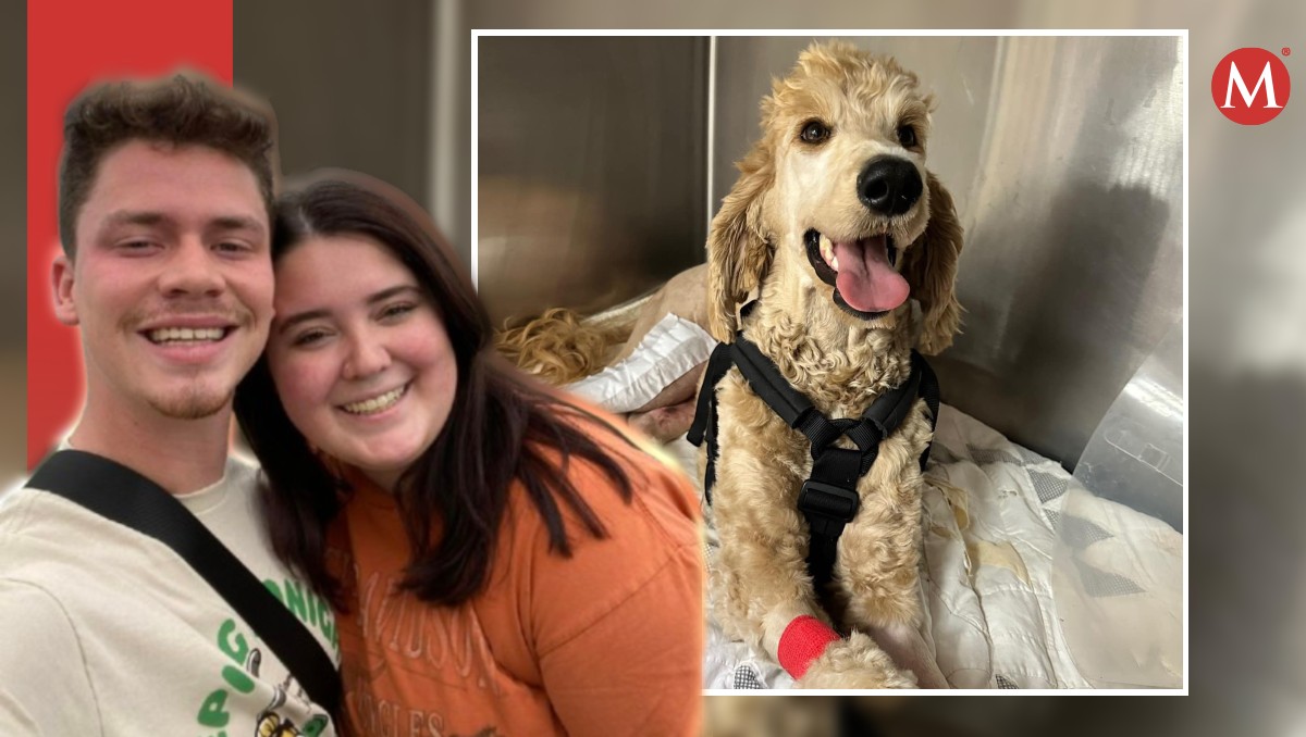 Dylan McCay y Emily Roberts decidieron salvarle la vida a una perrita que estaba en medio de la carretera.