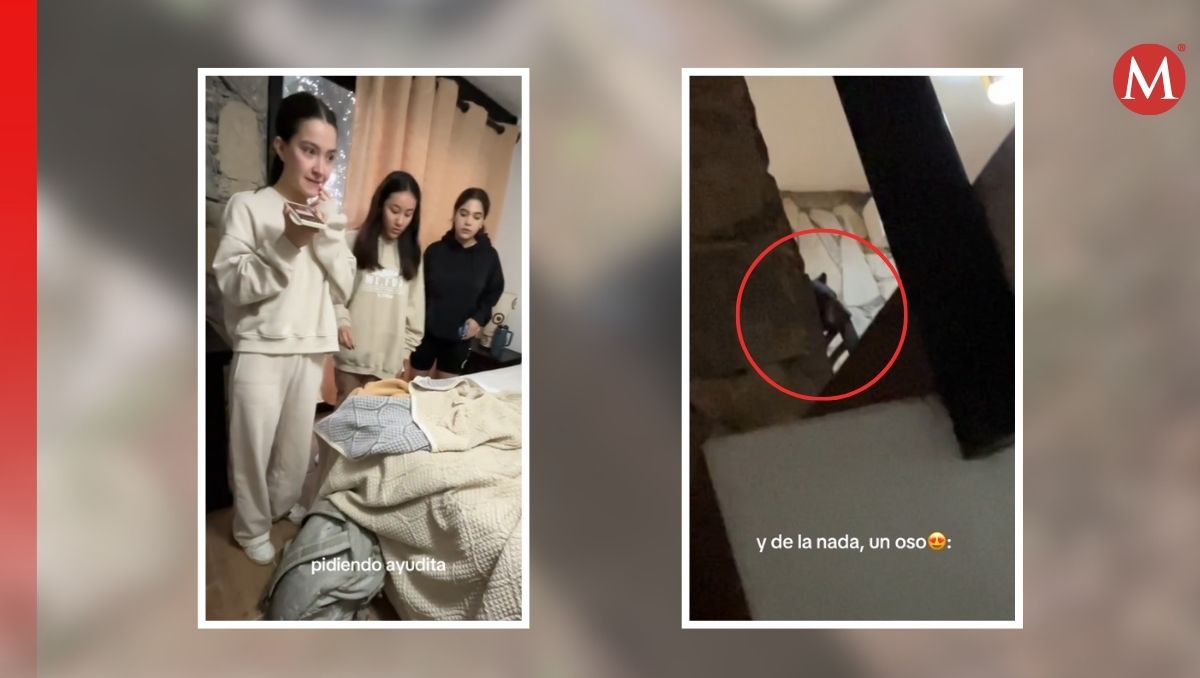 Oso sorprende a grupo de chicas mientras se hospedaban en una cabaña en Chipinque / Especial.
