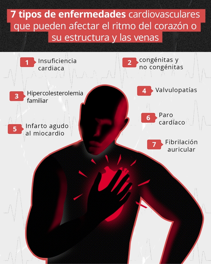 7 tipos de enfermedades cardiovasculares que pueden afectar el ritmo del corazón o su estructura y las venas | Numeralia