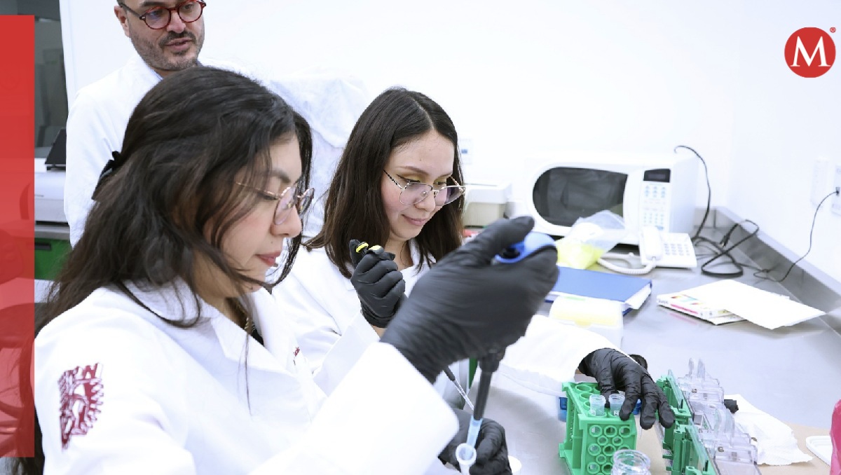 Los expertos del Laboratorio Nacional son apoyados por estudiantes de doctorado, maestría y licenciatura. | Especial