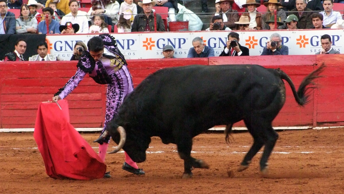 Benevolente oreja a Sergio Flores en la Plaza de Toros México (Jorge Matchain)