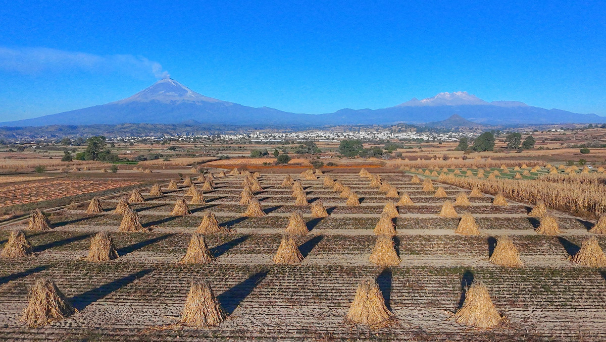Volcanes Popocatépetl e Iztaccíhuatl y campos de cultivo con mogotes recién armados por los campesinos de Cholula. | Andrés Lobato
