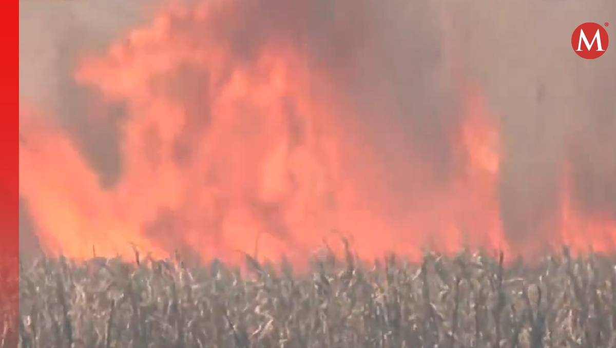 El incendio ha consumido en gran parte un sembradio en Tultepec. Foto: (Especial)