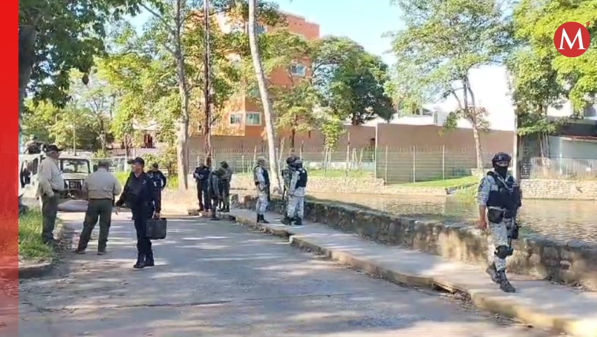 Vecinos de la colonia Linda Vista, informaron a las autoridades sobre el cuerpo que estaba siendo devorado (Especial)