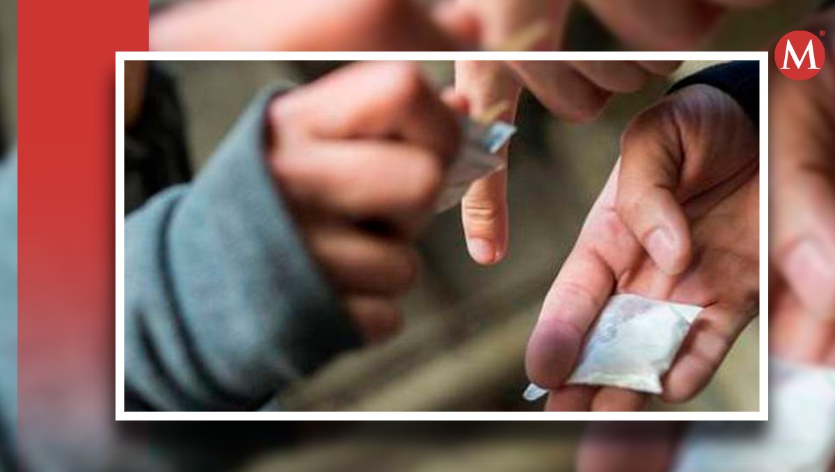 IP en Guanajuato reconoce decomisos de droga | Especial