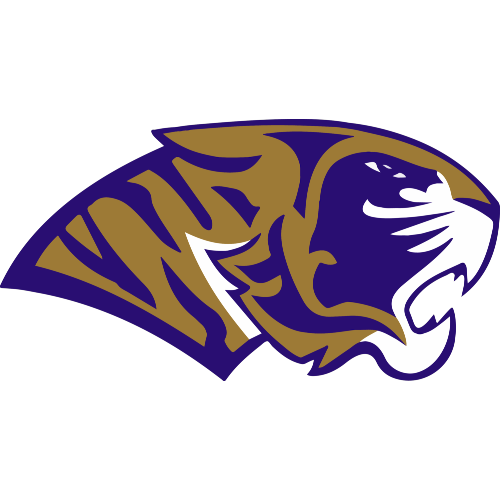 AUTÉNTICOS TIGRES