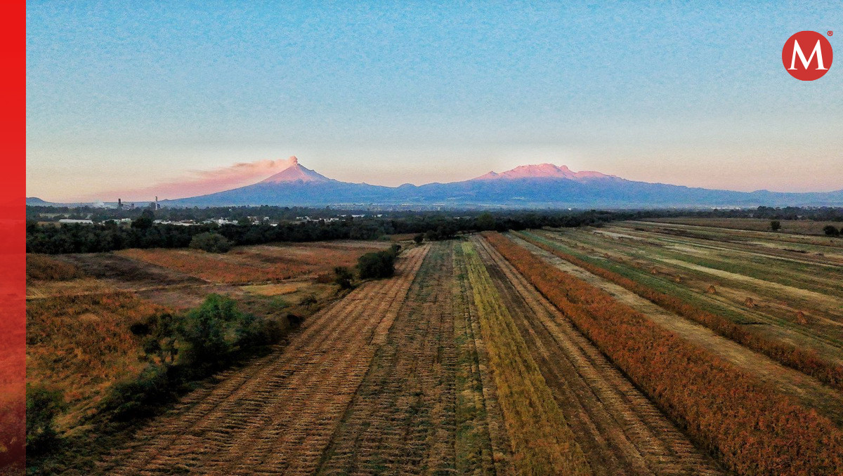 Popocatépetl HOY: Actividad registrada 29 de noviembre 2024 | EN VIVO | Andrés Lobato