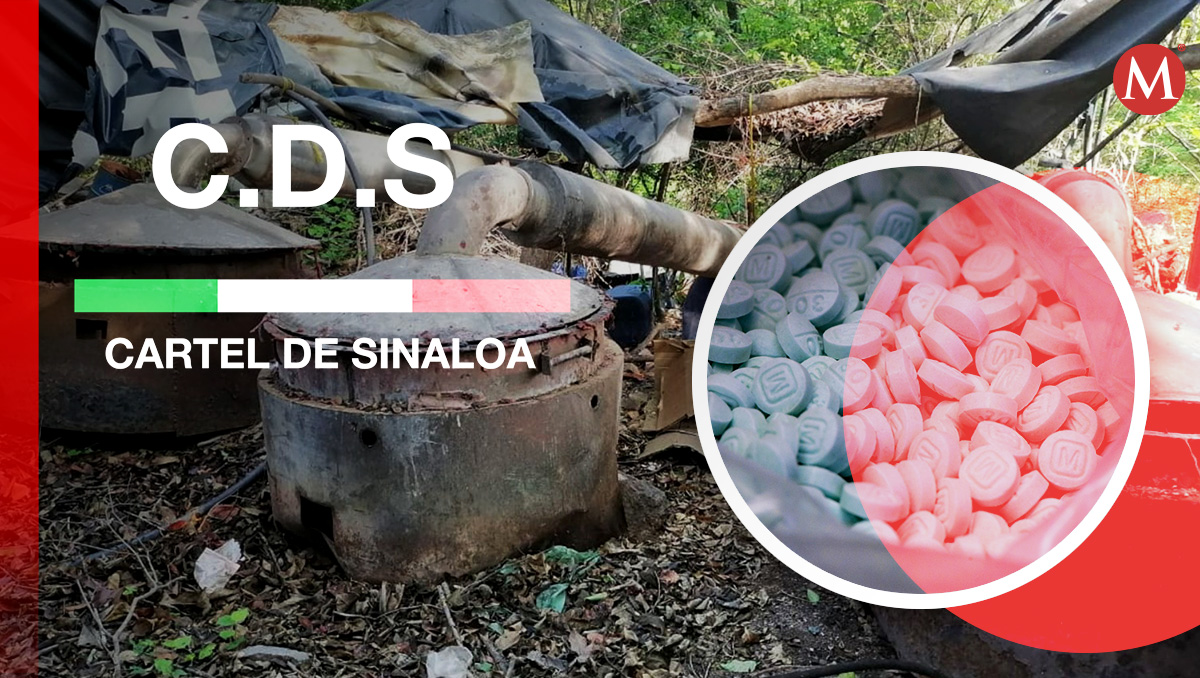 Cártel de Sinaloa busca producir sus propios precursores químicos | Milenio