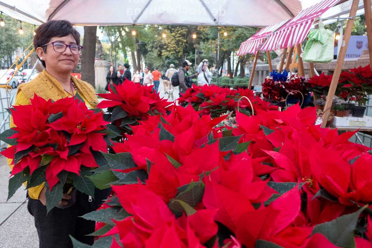 Festival Flores de Nochebuena prevalecerá en el Paseo de la Reforma. | Especial.