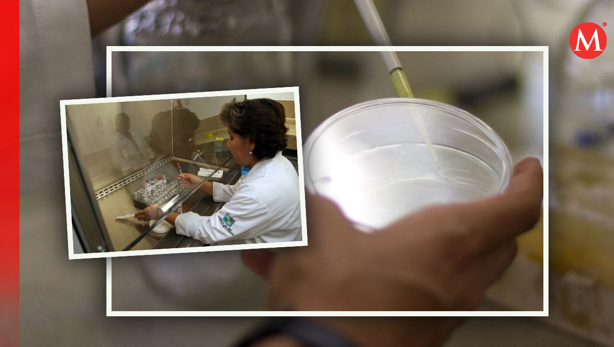 Es una especia de bacteria gram-negativa, aerobia.