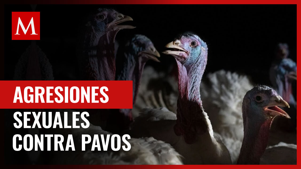 La oscura verdad detrás de Butterball: Esto es lo que hacen los trabajadores con los pavos