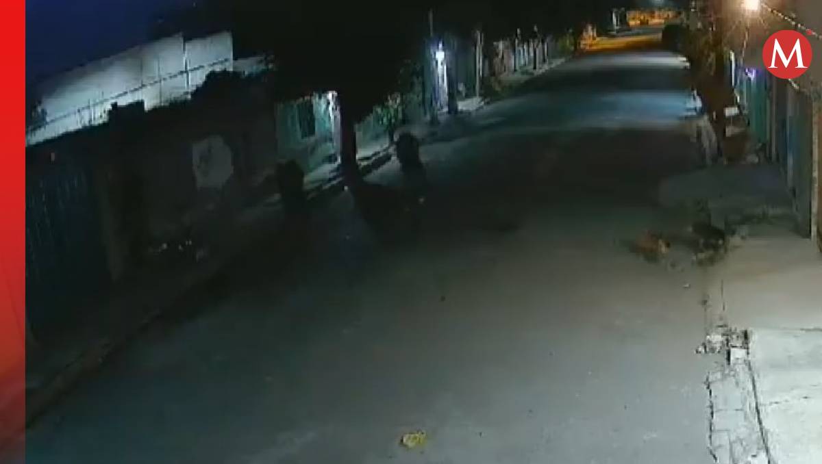 El ataque contra el perrito fue en la colonia María Isabel de Valle de Chalco. Foto: (Especial)