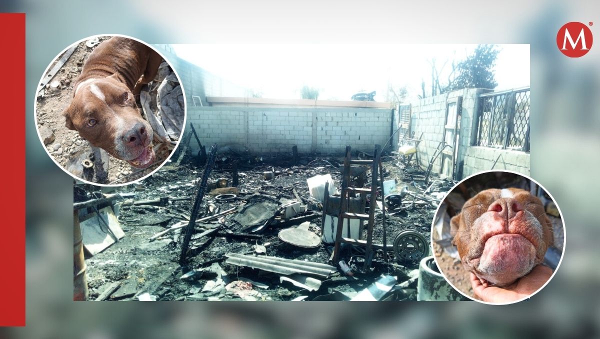 Siniestro en colonia Zaragoza Sur en Torreón, Coahuila. | Especial