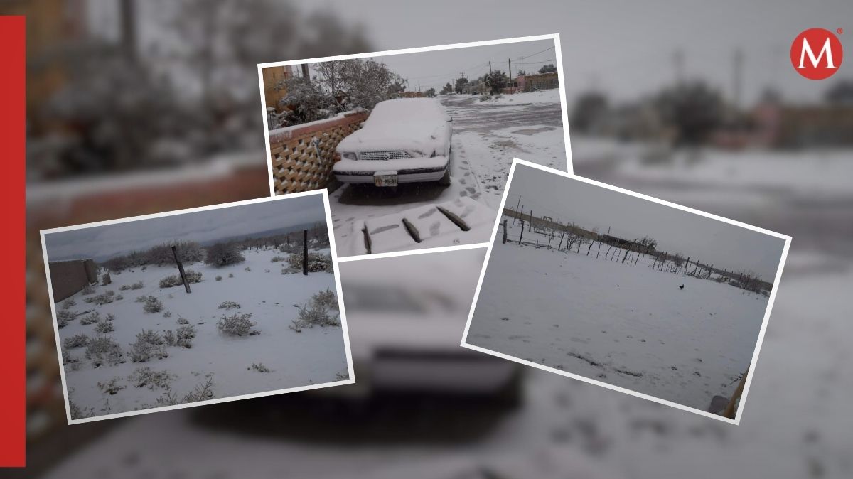 Todo el transcurso del día jueves 7, el frío calaba hasta los huesos y los laguneros tuvieron que sacar sus abrigos.| Cortesía