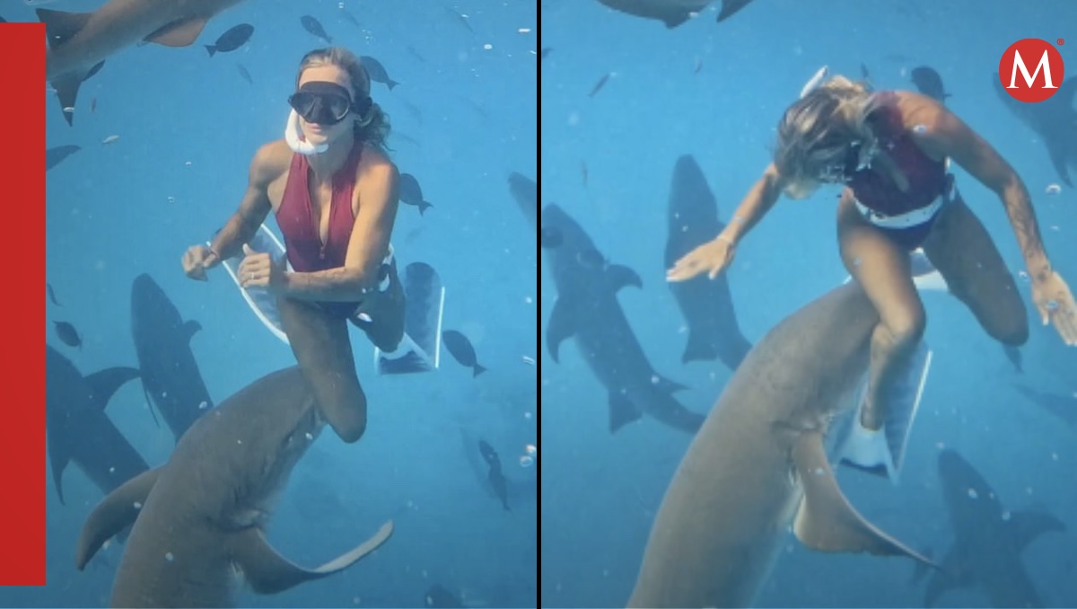 Influencer es mordida por un tiburón mientras buceaba | ESPECIAL
