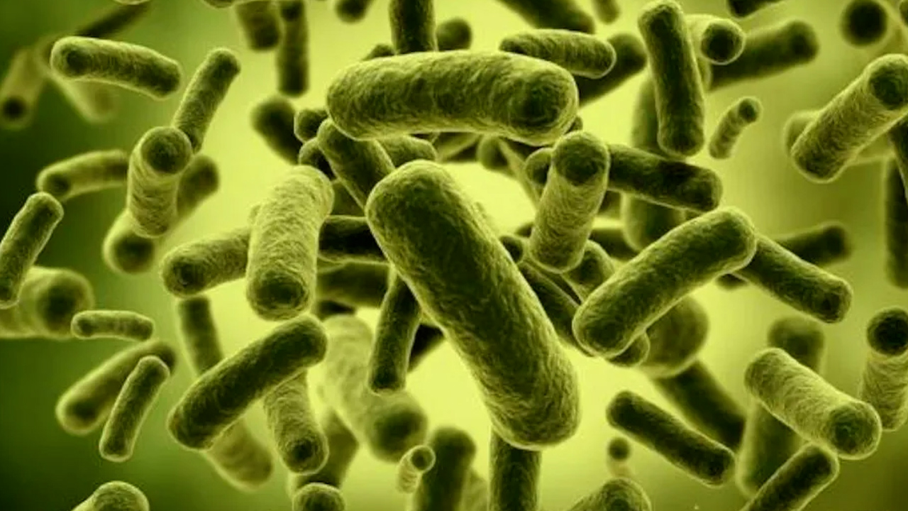 Mantienen monitoreo en Edomex por bacteria Klebsiella oxytoca, informa Horacio Duarte