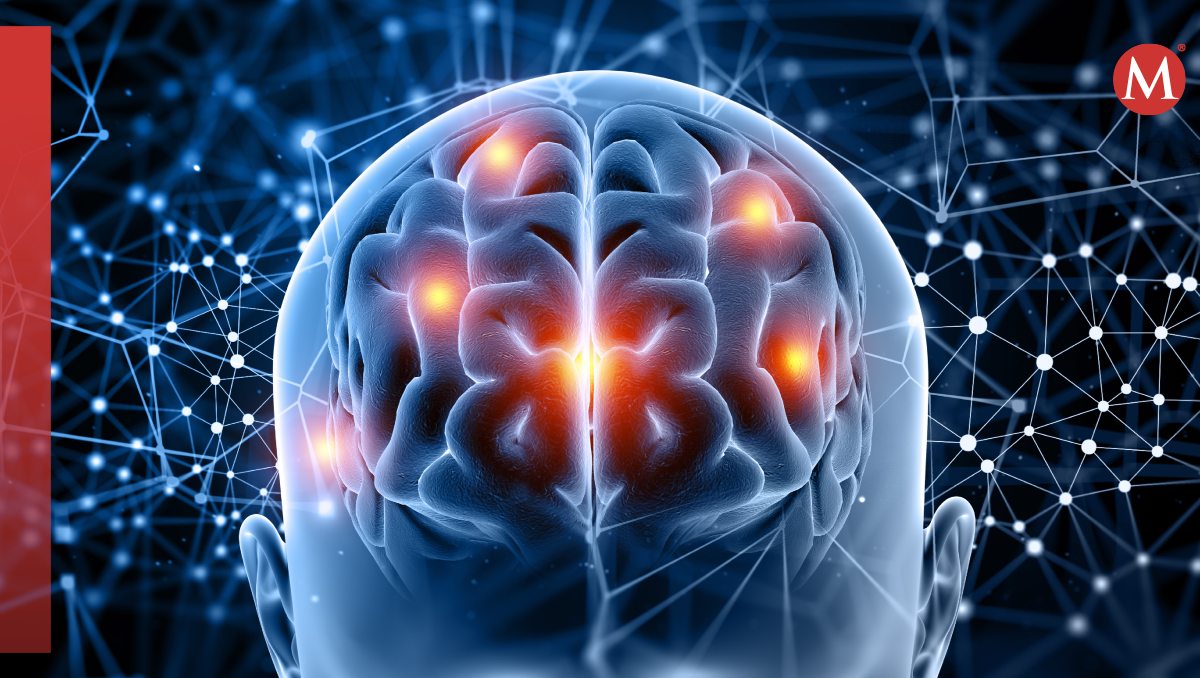 Trece proteínas relacionadas con el envejecimiento cerebral | Especial