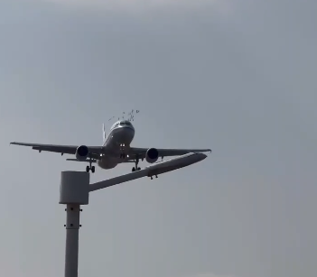 Avión en China choca con parvada de pájaros | ESPECIAL