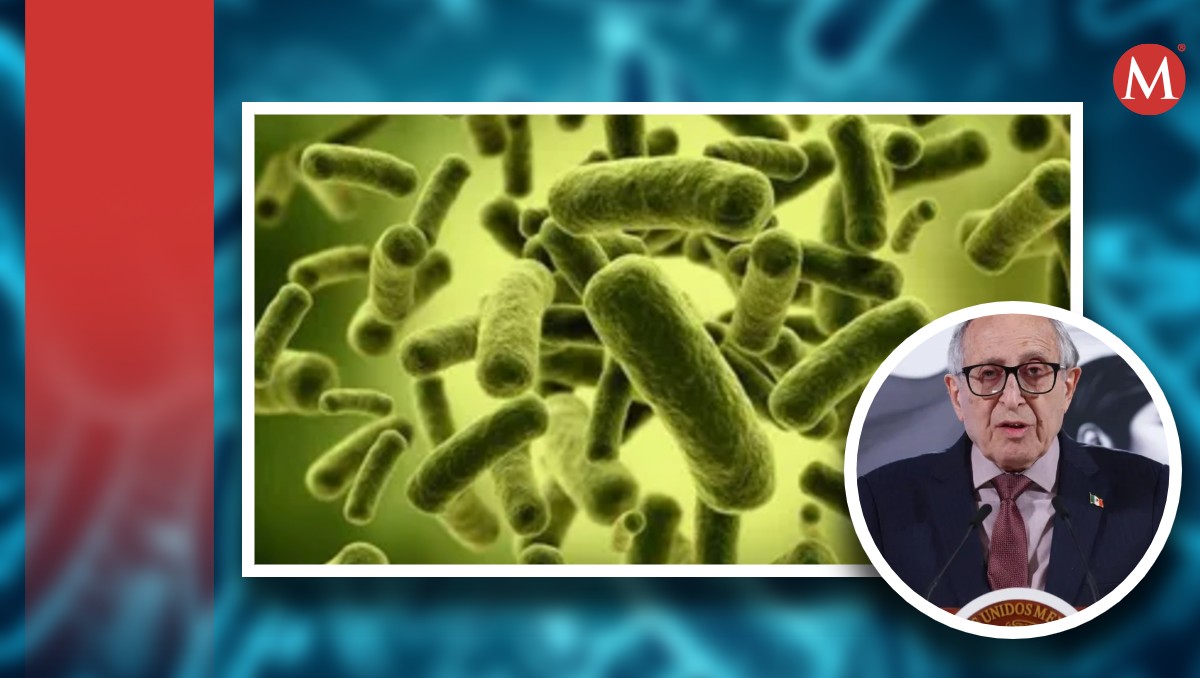 La bacteria Klebsiella oxytoca es un bacilo gramnegativo que causa infecciones en pacientes hospitalizados o con sistemas inmunológicos comprometidos.