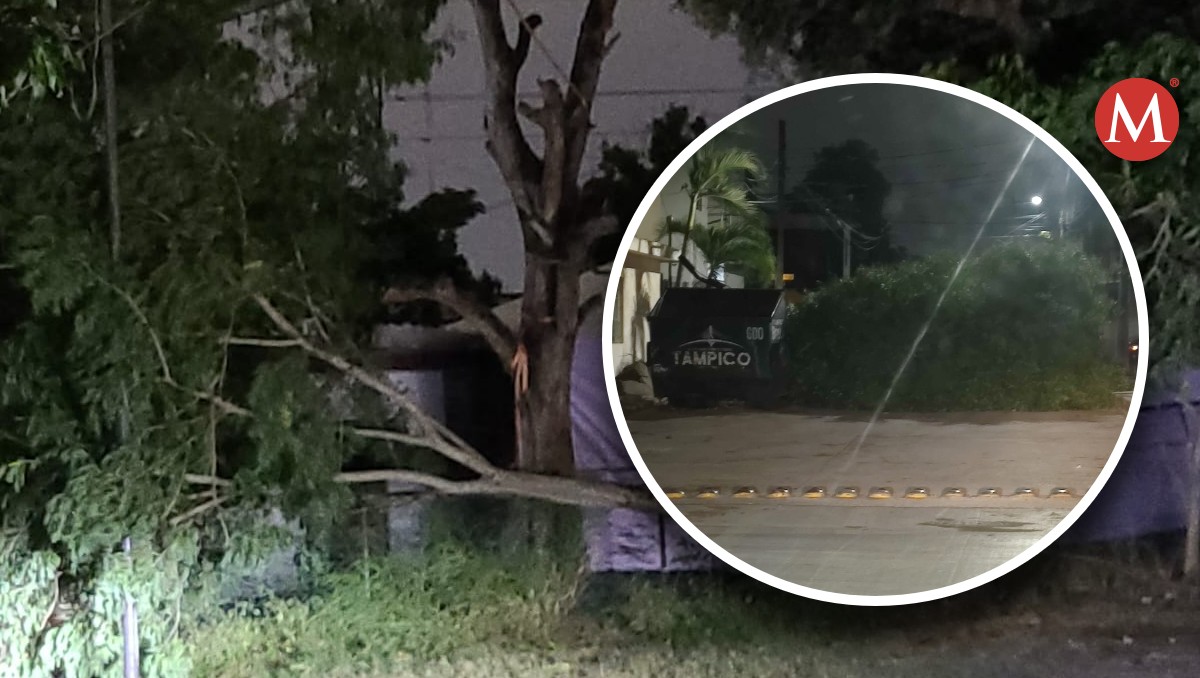 Frente frío 14 en Tampico y Ciudad Madero causa afectaciones por fuerte norte.