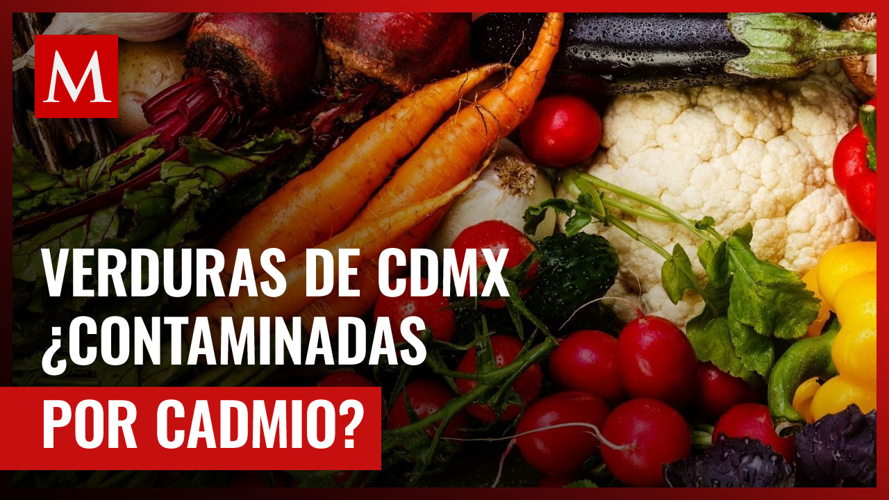 Estudio alarmante: verduras de la CDMX contaminadas con cadmio, un metal cancerígeno
