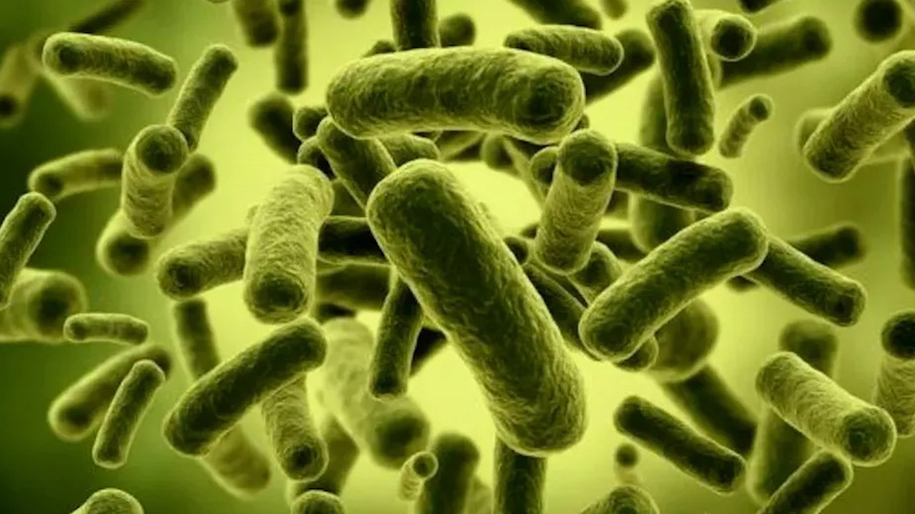 Cinco pacientes hospitalizados ya se encuentran libres de Klebsiella Oxytoca en Michoacán