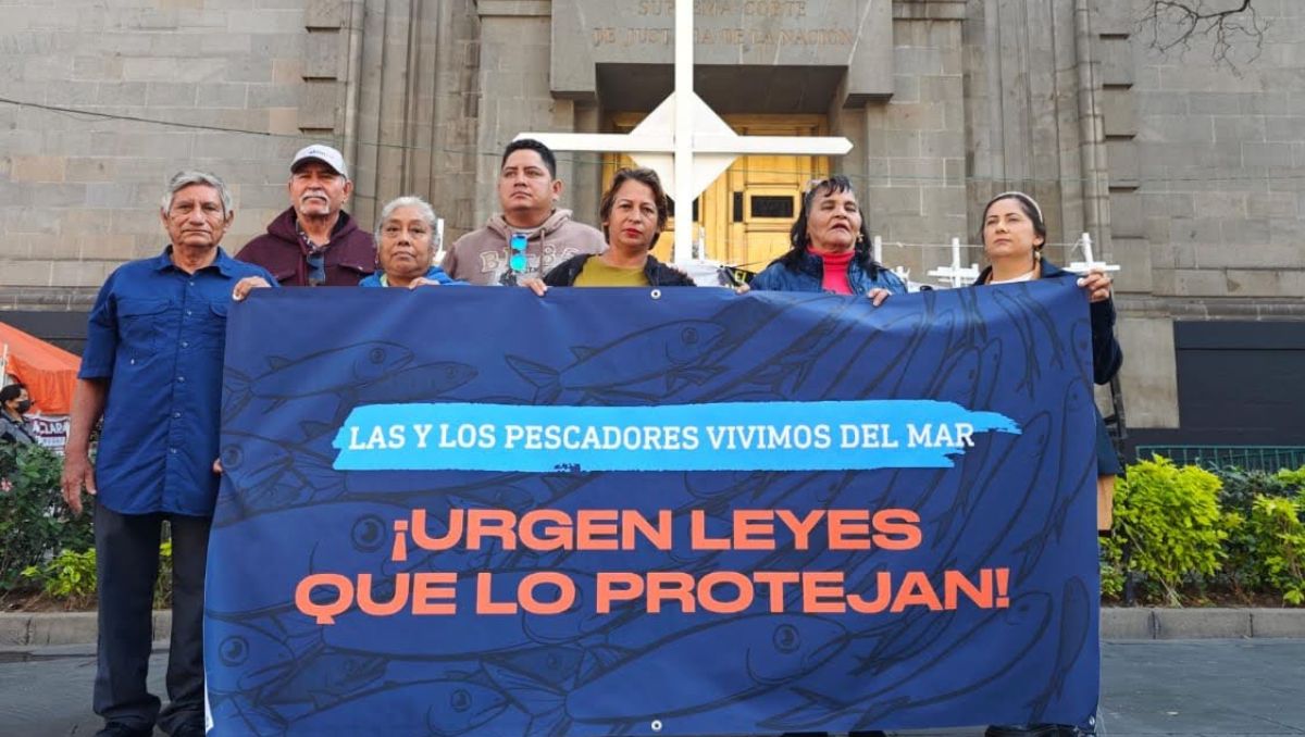 El 34% de las pesquerías en México están en deterioro, según la Carta Nacional Pesquera. | Especial