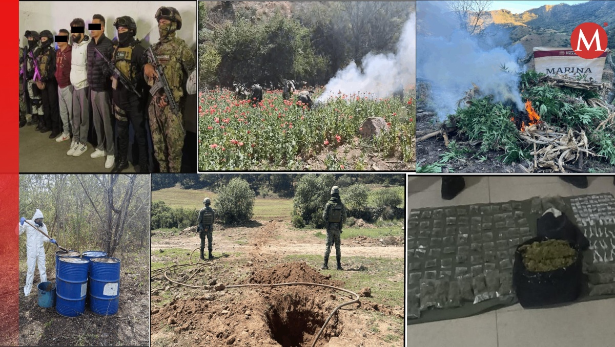 En Sinaloa, Chihuahua, Durango y Guerrero s destruyeron 72 plantíos de amapola y 16 de mariguana (Especial)