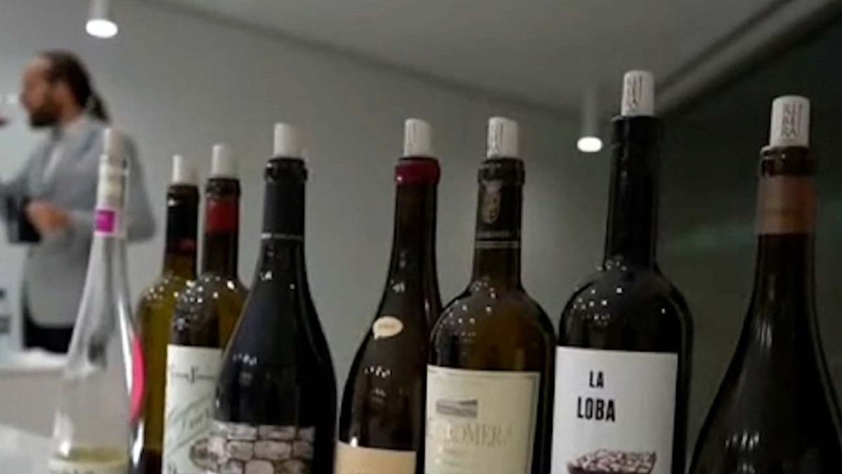 Denominación de Origen Ribera del Duero, en estos viñedos se crían las variedades tintas