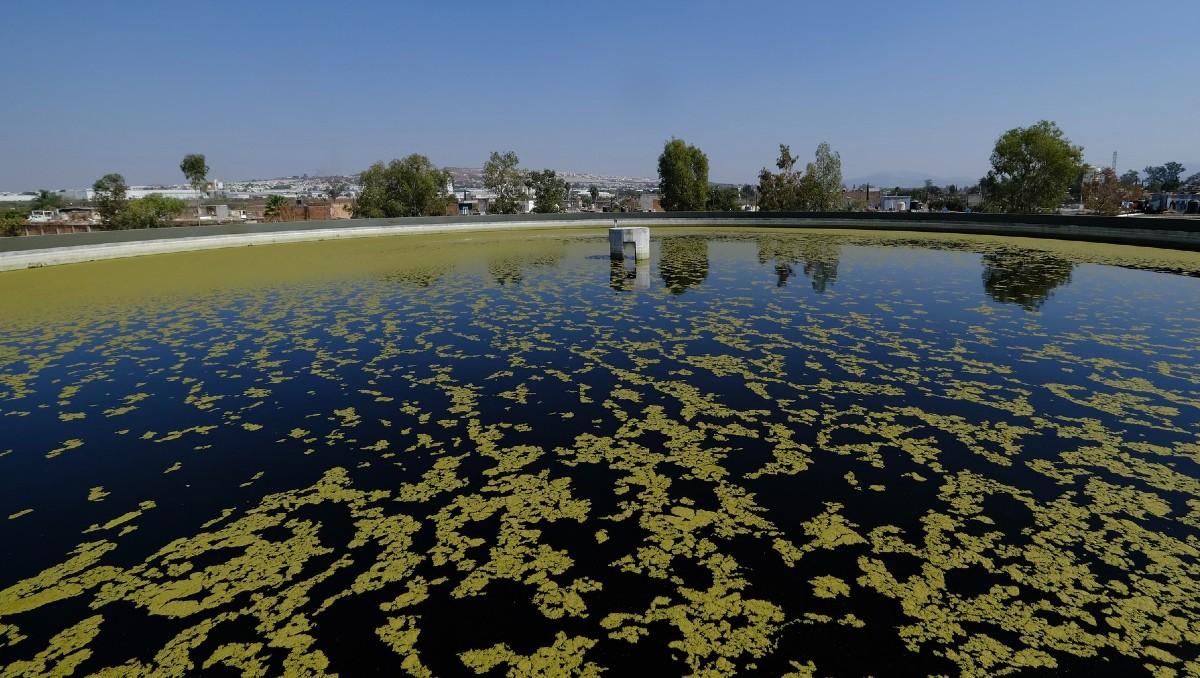 Planta de tratamiento de aguas El Ahogado en Jalisco (Cortesía)