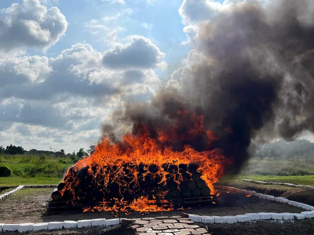 Destruyen cargamento de droga en Veracruz