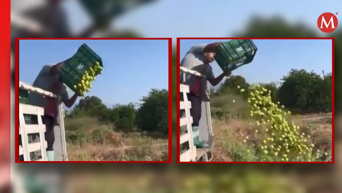 La Guardia Nacional mantiene operativo para reducir el ilícito que afecta a productores de limón. | Especial